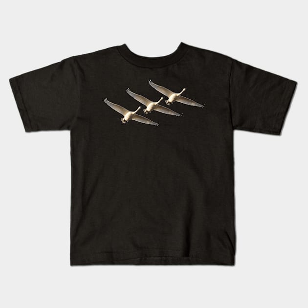 Trumpeters Trio Kids T-Shirt by Whisperingpeaks